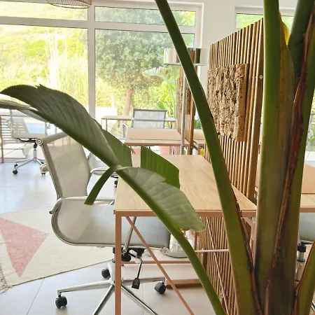 Saone - Coworking & Retreat Location