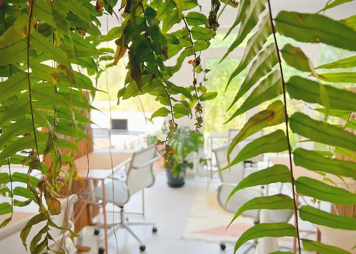 Saone - Coworking & Retreat Location Ericeira
